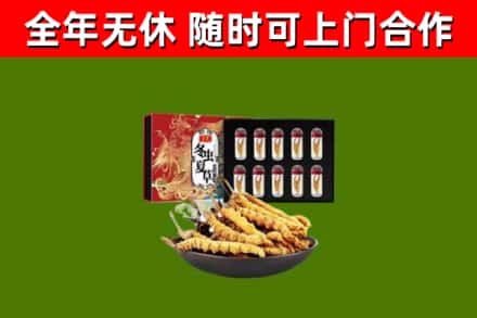 榆树市回收冬虫夏草价格